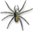 www.spiderware.com.au